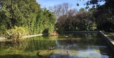 Les Nits de Barcelona en los Jardines de Pedralbes 4 Les Nits de Barcelona en los Jardines de Pedralbes
