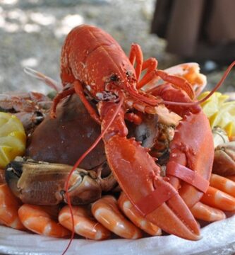 Fishølogy: Mariscos con Estilo y Presentación Artística