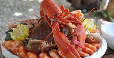 Fishølogy: Mariscos con Estilo y Presentación Artística 4 Fishølogy: Mariscos con Estilo y Presentación Artística