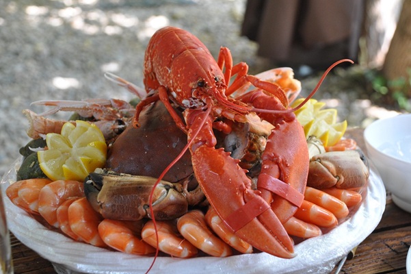 Fishølogy: Mariscos con Estilo y Presentación Artística