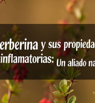 La Berberina y sus Propiedades Antiinflamatorias: Un Aliado Natural 1 La Berberina y sus Propiedades Antiinflamatorias: Un Aliado Natural